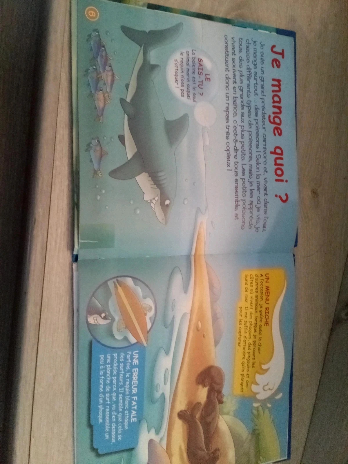 Lot 3 articles requin – photo 3